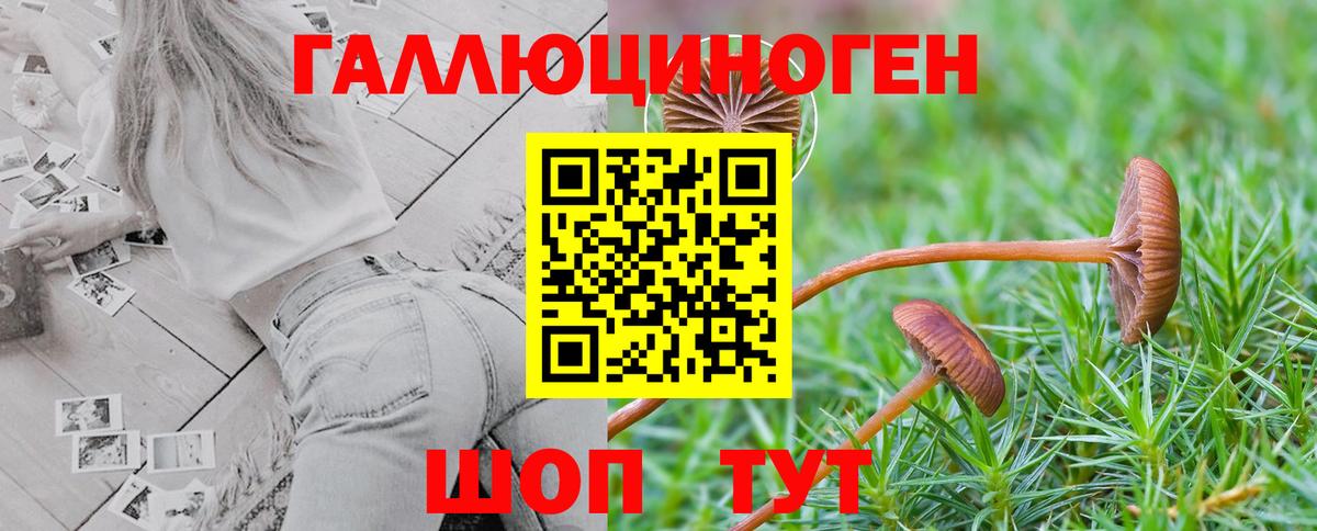 Снежинск  Галлюциногенные грибы Psilocybine cubensis  Псилоцибиновые грибы Psilocybe  Вход с VPN 